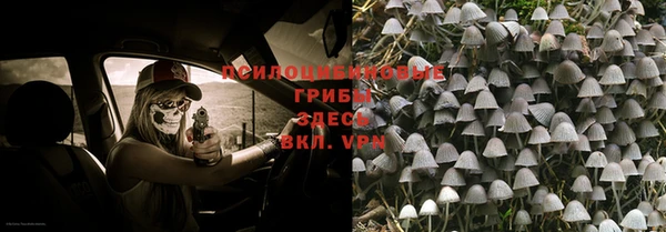 не бодяженный Ладушкин