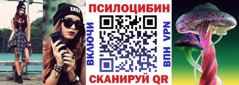 наркота  Терек  Галлюциногенные грибы Cubensis 