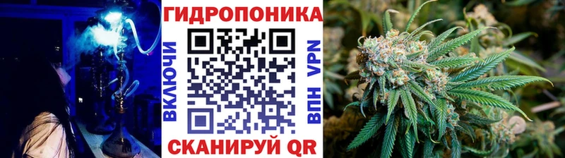 Каннабис конопля  Терек 
